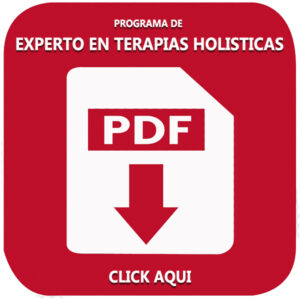 pdf Terapias Holisticas